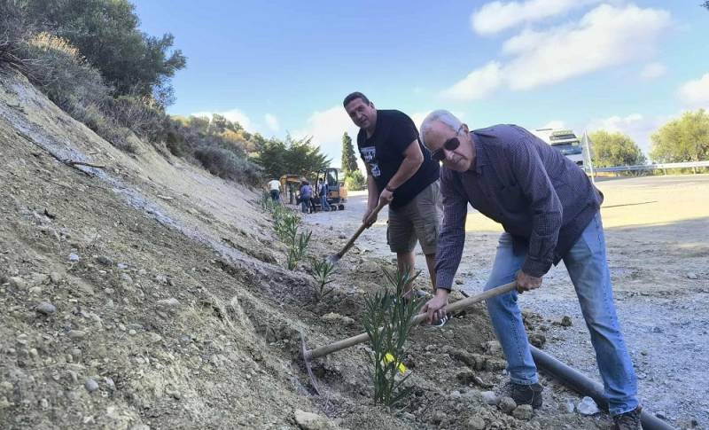 Δενδροφύτευση στη διασταύρωση Μάρθας-Βιάννου