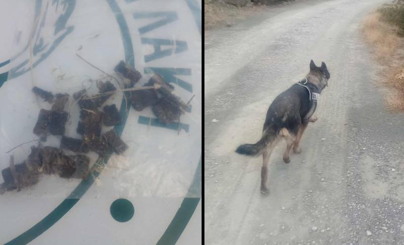 Γέμισαν με φόλες το χωριό!