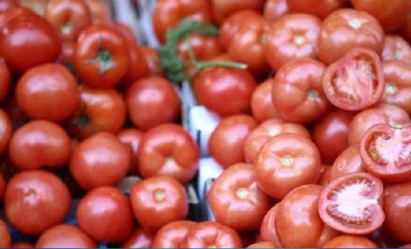 Συνεχίζονται οι χαμηλές πτήσεις στις τιμές της ντομάτας