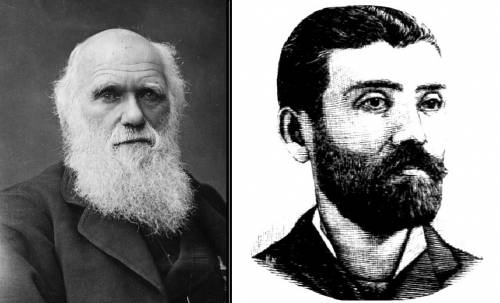 Ο Σπ. Μηλιαράκης και ο Δαρβίνος