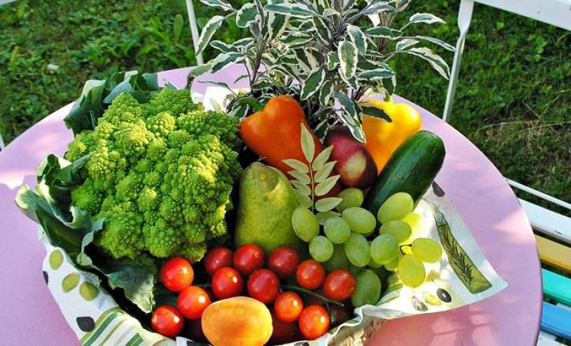 Αύξηση των εξαγωγών σε νωπά φρούτα και λαχανικά κατά 8,6%