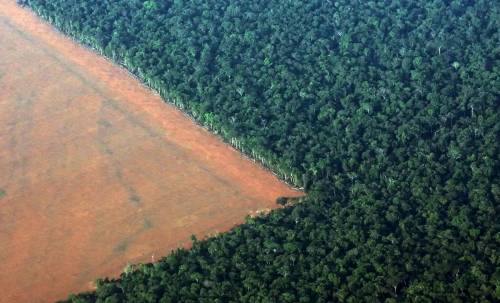 Η αποψίλωση του Αμαζονίου μπορεί να φέρει... νέα πανδημία!