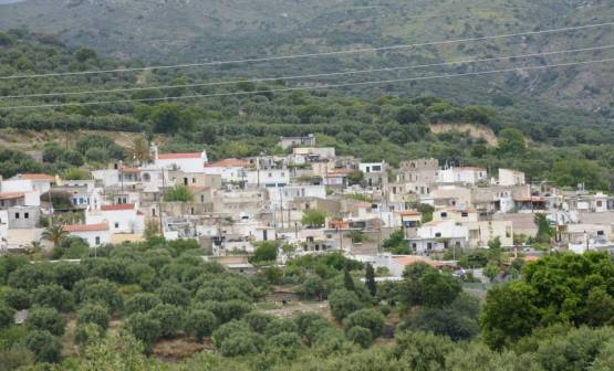 Βρέθηκε αδέσποτος τράγος